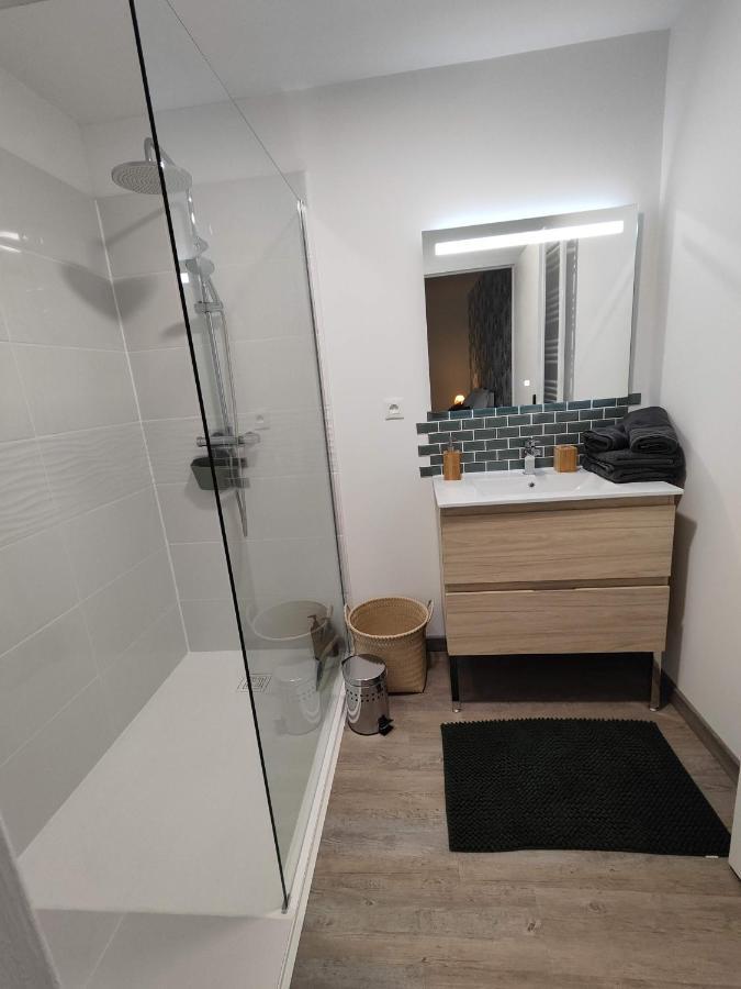 O Loft - 3 Chambres Avec 3 Salles De Bains - Parking - Climatisation Albi Extérieur photo