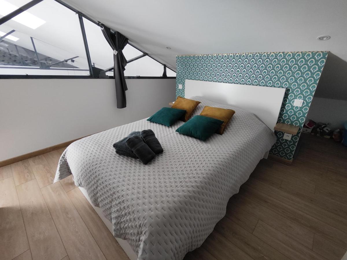 O Loft - 3 Chambres Avec 3 Salles De Bains - Parking - Climatisation Albi Extérieur photo