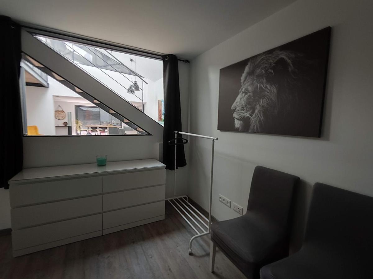 O Loft - 3 Chambres Avec 3 Salles De Bains - Parking - Climatisation Albi Extérieur photo