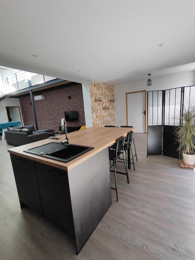 O Loft - 3 Chambres Avec 3 Salles De Bains - Parking - Climatisation Albi Extérieur photo